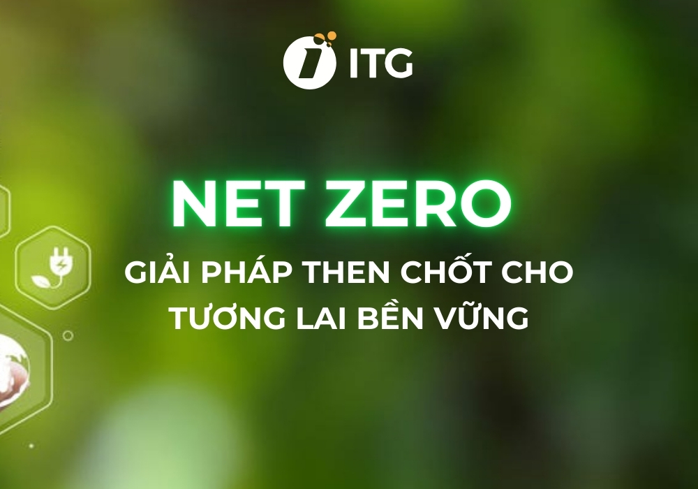 Net Zero: Giải pháp then chốt cho tương lai bền vững