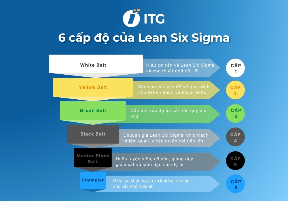 6 cấp độ của Lean Six Sigma