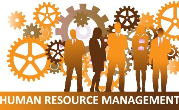 Phần mềm HRM là gì? Vai trò của HRM trong doanh nghiệp hiện nay