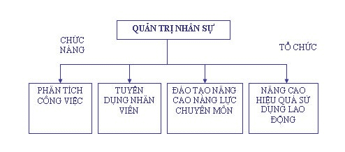 phần mềm hrm
