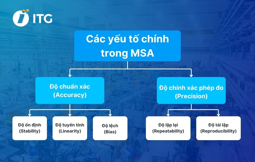 Những yếu tố chính được phân tích trong MSA Những yếu tố chính được phân tích trong MSA