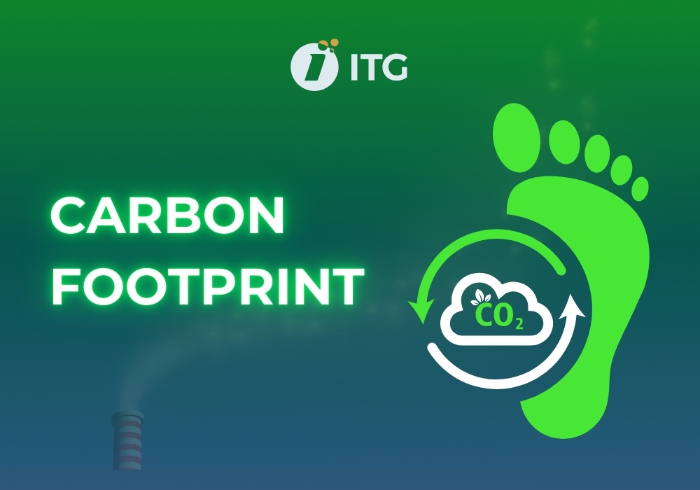 Carbon Footprint là gì? Cách tính và giảm thiểu dấu chân Carbon trong sản xuất