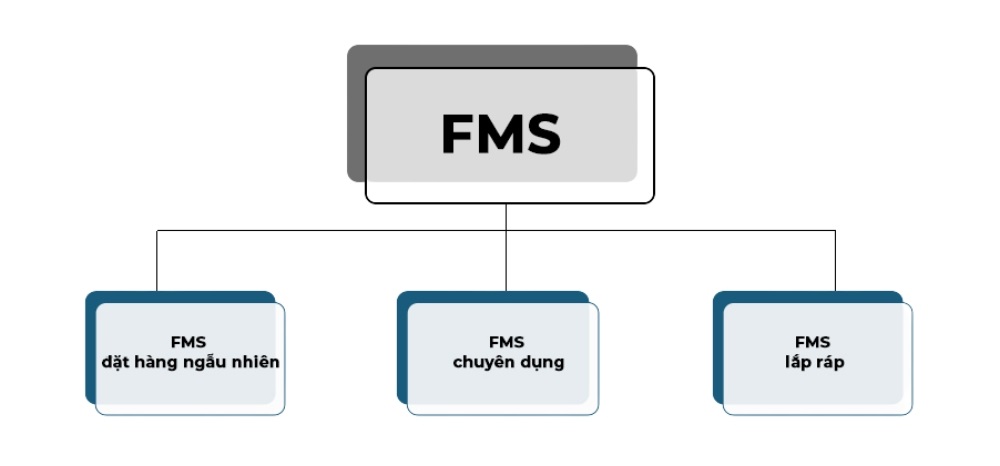 fms là gì