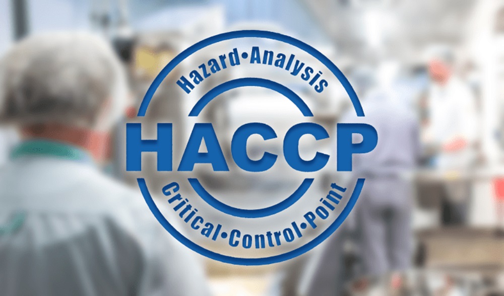 haccp là gì