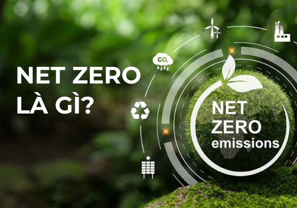 Net Zero là gì? Net Zero là gì?