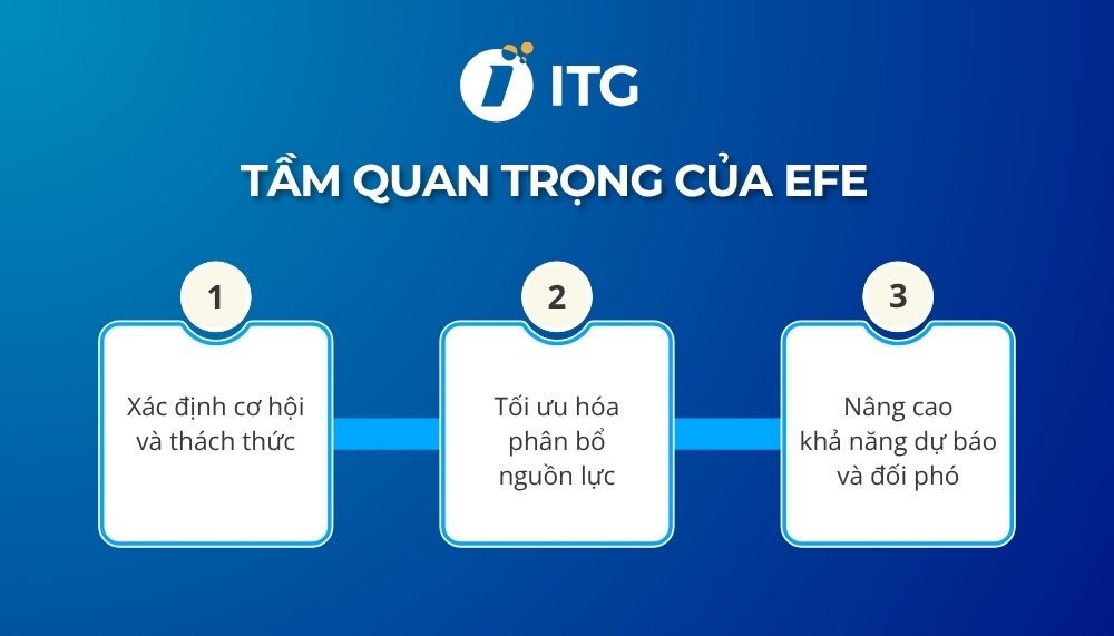 ma trận EFE