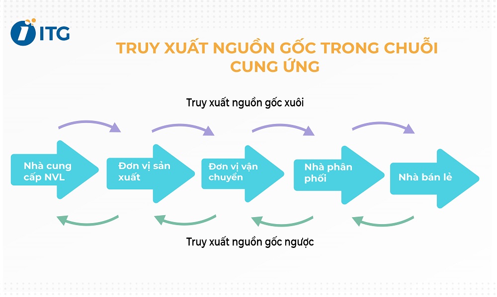 truy xuất nguồn gốc trong chuỗi cung ứng
