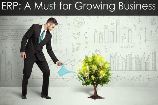 Infographic: 7 lợi ích của phần mềm 3S ERP thúc đẩy sự phát triển của Doanh nghiệp